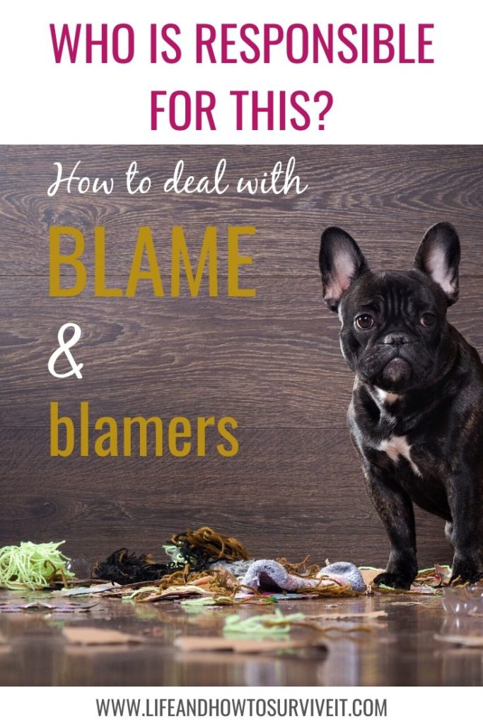Who is responsible for this? How to deal with blame and blamers