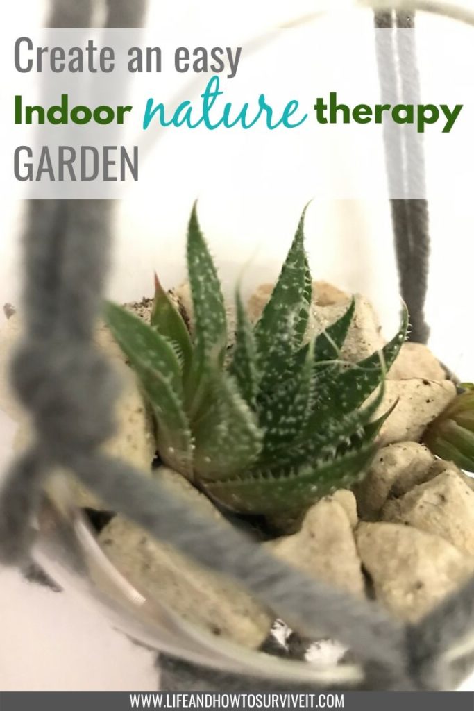 Create a simple nature therapy garden. How indoor plants can make you happier and healthier, picture of succulent